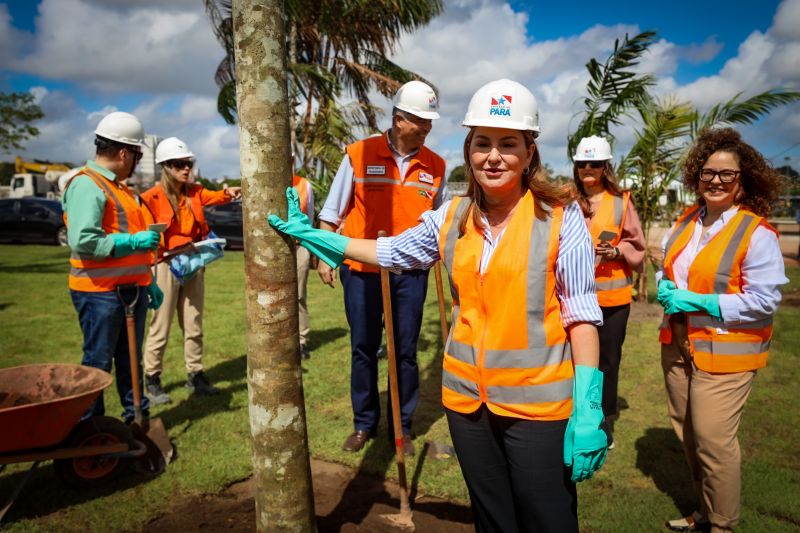 <div class='credito_fotos'>Foto: Bruno Cecim / Ag.Pará | <a href='/midias/2024/originais/19978_f988387f-988a-b424-f1bb-33696e03b445.jpg' download><i class='fa-solid fa-download'></i> Download</a></div>