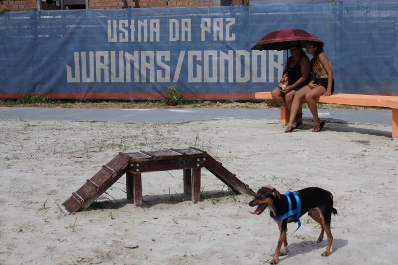 <div class='credito_fotos'>Foto: Pedro Guerreiro / Ag. Pará | <a href='/midias/2024/originais/20023_28a3de91-88f7-9ea9-3e16-95c184ffb50f.jpg' download><i class='fa-solid fa-download'></i> Download</a></div>