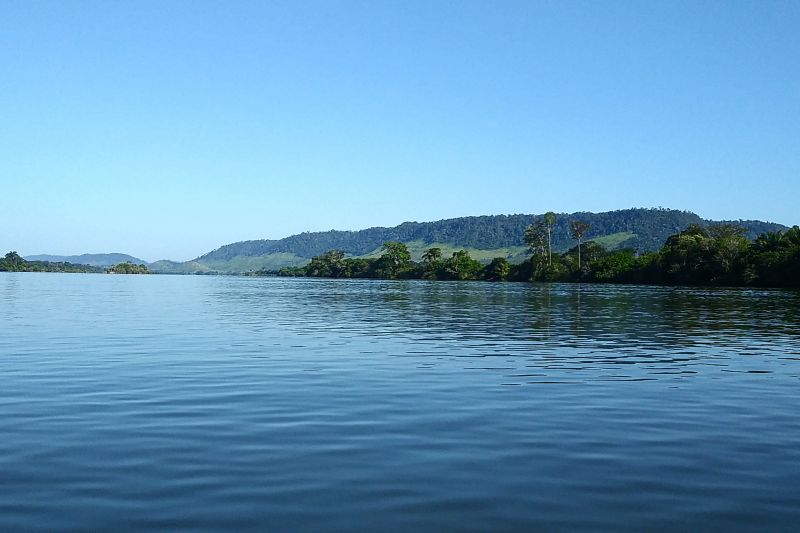 <div class='credito_fotos'>Foto: Agência Pará | <a href='/midias/2024/originais/20029_02a9e665-c9a9-4b2e-fe35-34b94bb05582.jpg' download><i class='fa-solid fa-download'></i> Download</a></div>