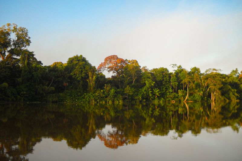 <div class='credito_fotos'>Foto: Agência Pará | <a href='/midias/2024/originais/20029_28674f7b-fa81-0f1c-0a4f-8263ac4c16c6.jpg' download><i class='fa-solid fa-download'></i> Download</a></div>