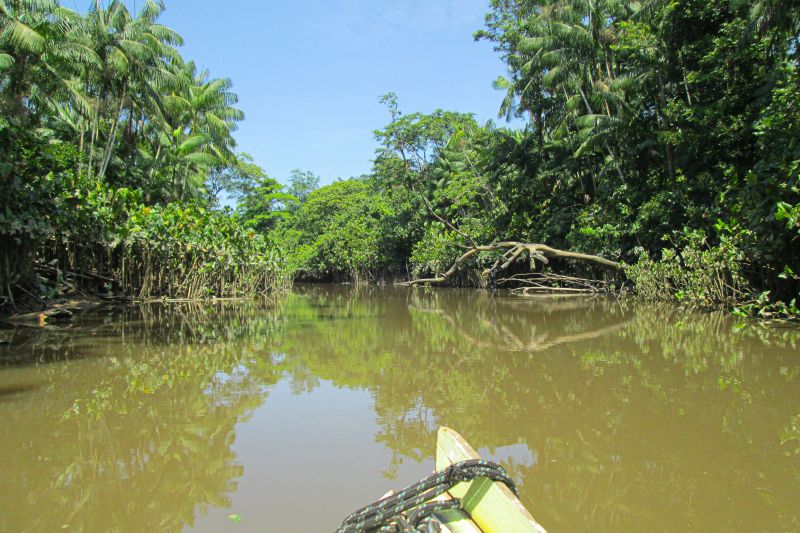 <div class='credito_fotos'>Foto: Agência Pará | <a href='/midias/2024/originais/20029_87e3698c-9394-623b-8b21-ff1cc3631be8.jpg' download><i class='fa-solid fa-download'></i> Download</a></div>