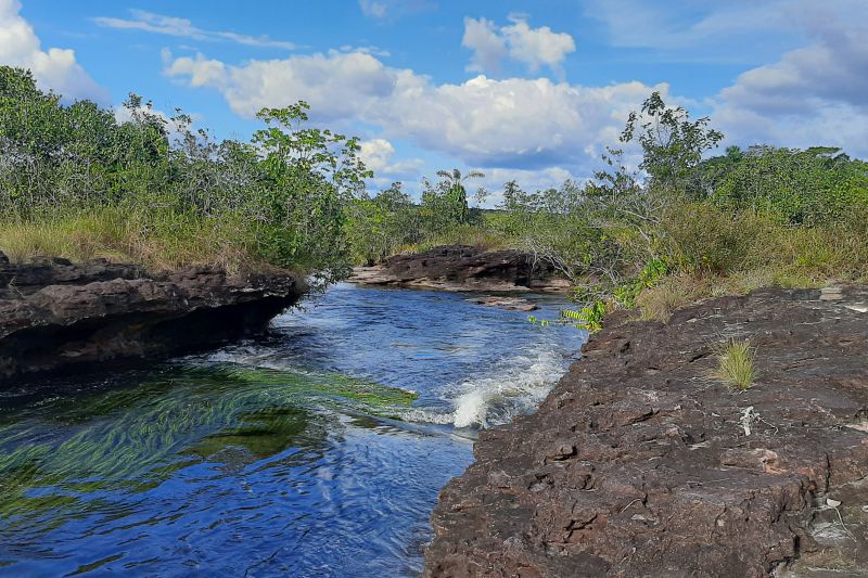 <div class='credito_fotos'>Foto: Agência Pará | <a href='/midias/2024/originais/20029_9379e3a9-0f0e-38db-af18-c06a8fea23d9.jpg' download><i class='fa-solid fa-download'></i> Download</a></div>