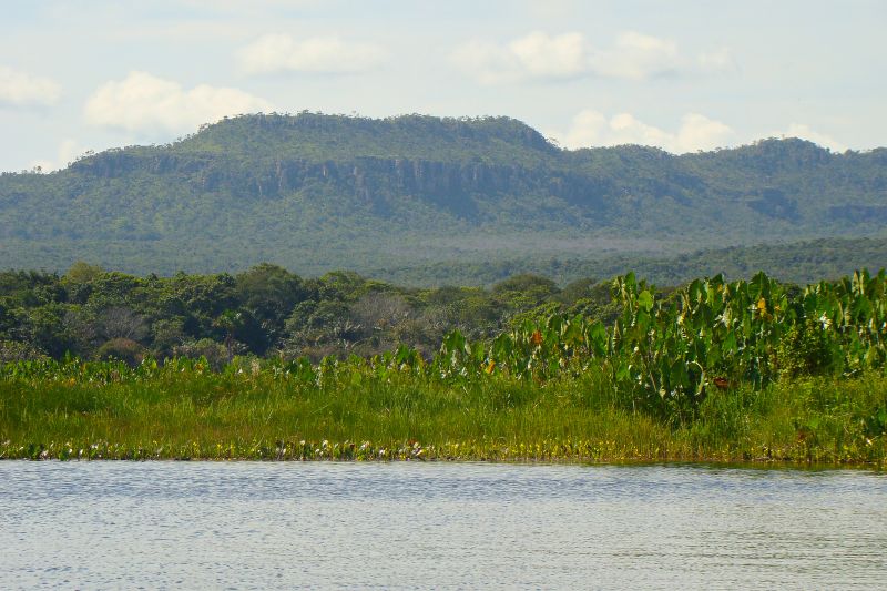 <div class='credito_fotos'>Foto: Agência Pará | <a href='/midias/2024/originais/20029_da579f0d-5416-c4b1-1515-4b687848eeac.jpg' download><i class='fa-solid fa-download'></i> Download</a></div>