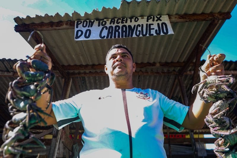 <div class='credito_fotos'>Foto: Pedro Guerreiro / Ag. Pará | <a href='/midias/2024/originais/20061_52d5bbfb-0f07-c1b8-a7ac-b1408ddc2af5.jpg' download><i class='fa-solid fa-download'></i> Download</a></div>