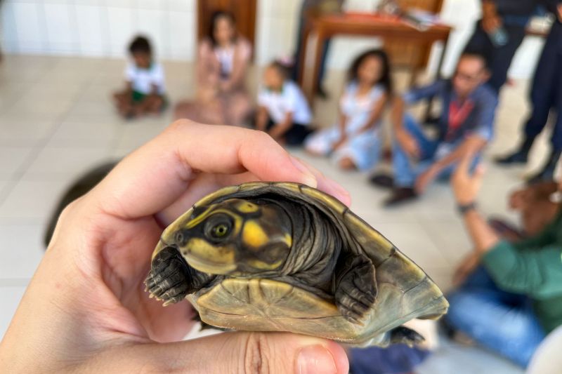 <div class='credito_fotos'>Foto: Beatriz Rabelo / Ascom Ideflor-Bio | <a href='/midias/2024/originais/20123_0e5a7c13-cc25-8030-65a3-3fbe75323f84.jpg' download><i class='fa-solid fa-download'></i> Download</a></div>