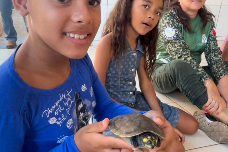 <div class='credito_fotos'>Foto: Beatriz Rabelo / Ascom Ideflor-Bio | <a href='/midias/2024/originais/20123_17bb8c13-1548-7a51-a144-67d7bfc67e63.jpg' download><i class='fa-solid fa-download'></i> Download</a></div>