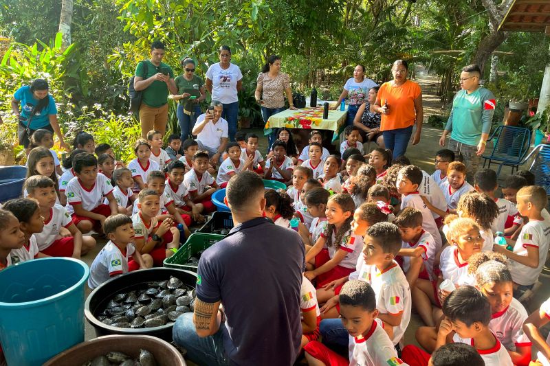 <div class='credito_fotos'>Foto: Beatriz Rabelo / Ascom Ideflor-Bio | <a href='/midias/2024/originais/20123_4be8aa31-ec16-c0ac-e6cc-138a00c44bf0.jpg' download><i class='fa-solid fa-download'></i> Download</a></div>