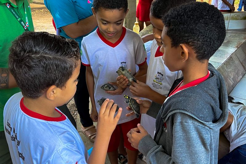 <div class='credito_fotos'>Foto: Beatriz Rabelo / Ascom Ideflor-Bio | <a href='/midias/2024/originais/20123_5d95ded5-b0e8-66fc-a60a-d9a9679c515c.jpg' download><i class='fa-solid fa-download'></i> Download</a></div>