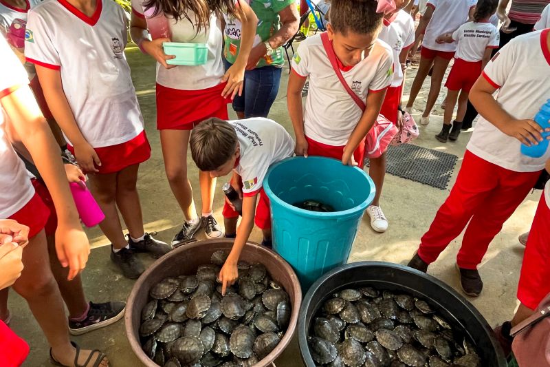 <div class='credito_fotos'>Foto: Beatriz Rabelo / Ascom Ideflor-Bio | <a href='/midias/2024/originais/20123_73c936ba-a704-10d8-d58c-1fb6ecae3c2e.jpg' download><i class='fa-solid fa-download'></i> Download</a></div>