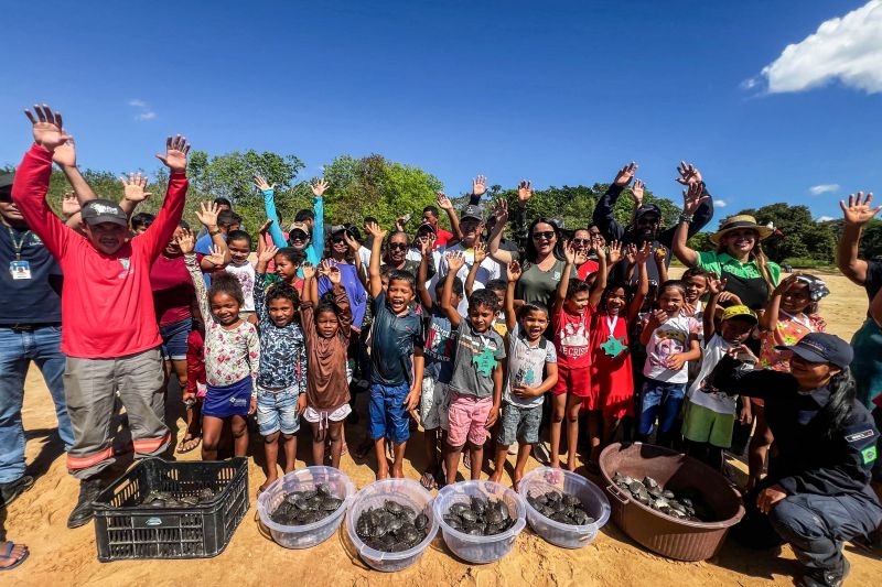 Soltura de 3 mil quelônios no rio Araguaia marcam programação pelo “Junho Verde” no sudeste paraense <div class='credito_fotos'>Foto: João Vitor Santos / Ascom Ideflor-Bio | <a href='/midias/2024/originais/20124_82940615-387c-51ca-0c05-1c36b6ba7e86.jpg' download><i class='fa-solid fa-download'></i> Download</a></div>