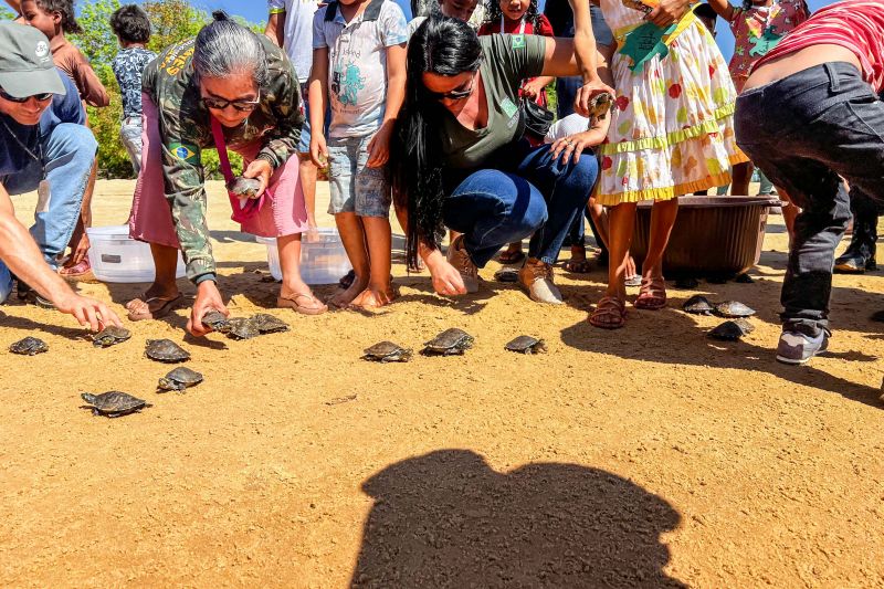 Soltura de 3 mil quelônios no rio Araguaia marcam programação pelo “Junho Verde” no sudeste paraense <div class='credito_fotos'>Foto: João Vitor Santos / Ascom Ideflor-Bio | <a href='/midias/2024/originais/20124_aa7aac0e-b91f-1edf-1c3b-ab78407e6d9f.jpg' download><i class='fa-solid fa-download'></i> Download</a></div>