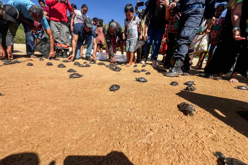 Soltura de 3 mil quelônios no rio Araguaia marcam programação pelo “Junho Verde” no sudeste paraense <div class='credito_fotos'>Foto: João Vitor Santos / Ascom Ideflor-Bio | <a href='/midias/2024/originais/20124_c4a405a8-0df5-72b0-f2c2-498b2c5925c8.jpg' download><i class='fa-solid fa-download'></i> Download</a></div>
