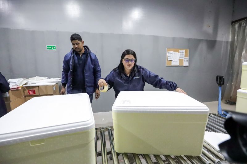 <div class='credito_fotos'>Foto: Alex Ribeiro / Ag. Pará | <a href='/midias/2024/originais/20160_be5c24a2-0afd-c9c8-f6b8-d2a8e518d844.jpg' download><i class='fa-solid fa-download'></i> Download</a></div>