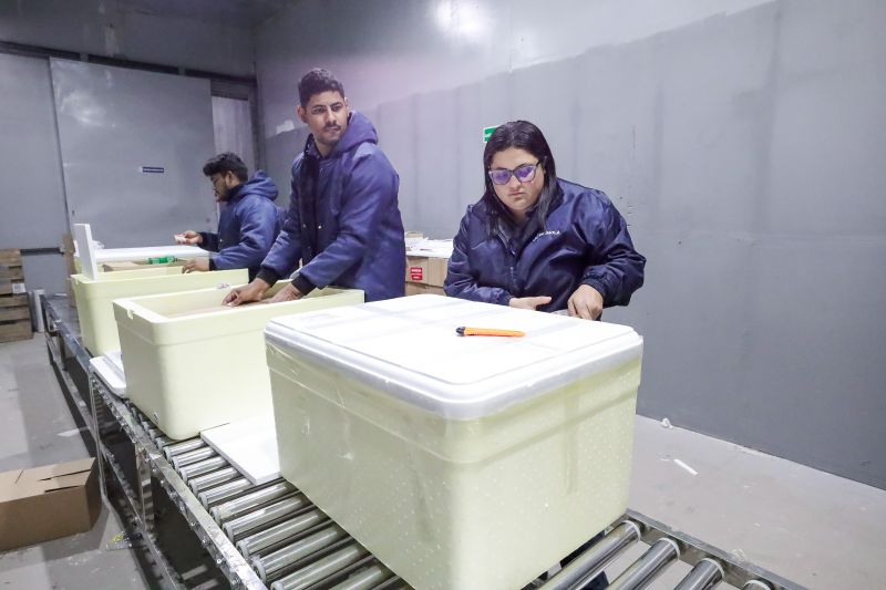 <div class='credito_fotos'>Foto: Alex Ribeiro / Ag. Pará | <a href='/midias/2024/originais/20160_c254711d-bf60-a195-ff45-ca68a44d7bfc.jpg' download><i class='fa-solid fa-download'></i> Download</a></div>