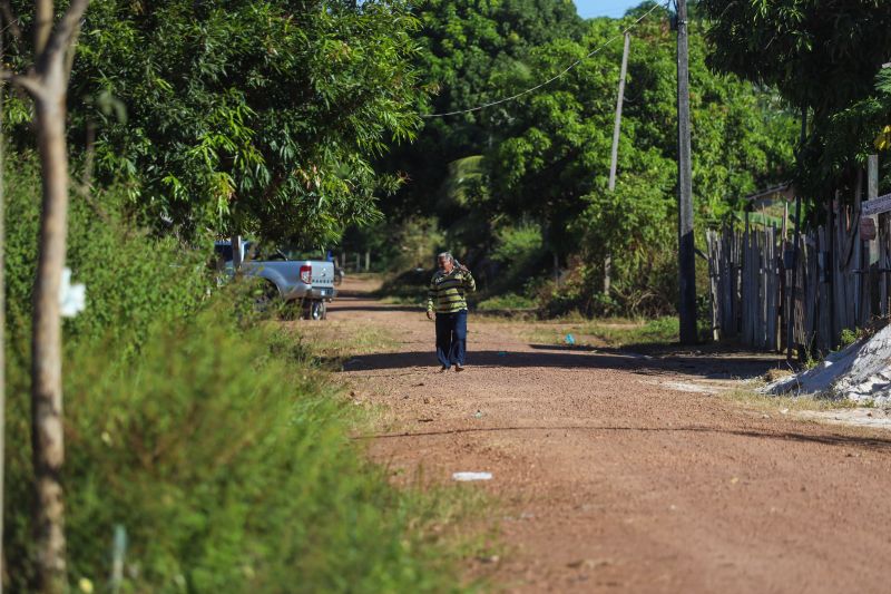 <div class='credito_fotos'>Foto: Rodrigo Pinheiro / Ag.Pará | <a href='/midias/2024/originais/20186_7b2a71e4-bf0b-ce70-80c2-0d517244b3c9.jpg' download><i class='fa-solid fa-download'></i> Download</a></div>