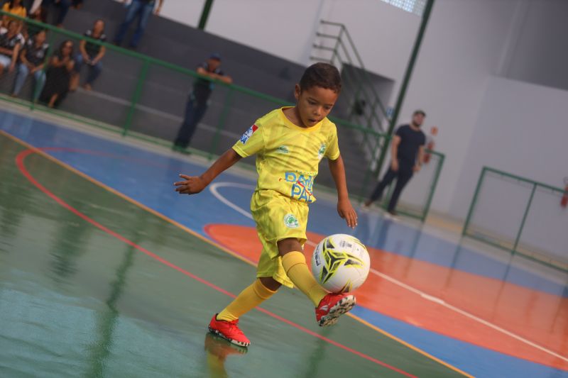 <div class='credito_fotos'>Foto: Rodrigo Pinheiro / Ag.Pará | <a href='/midias/2024/originais/20202_bcf8cf5b-87de-b896-f90a-7252eedc64ee.jpg' download><i class='fa-solid fa-download'></i> Download</a></div>