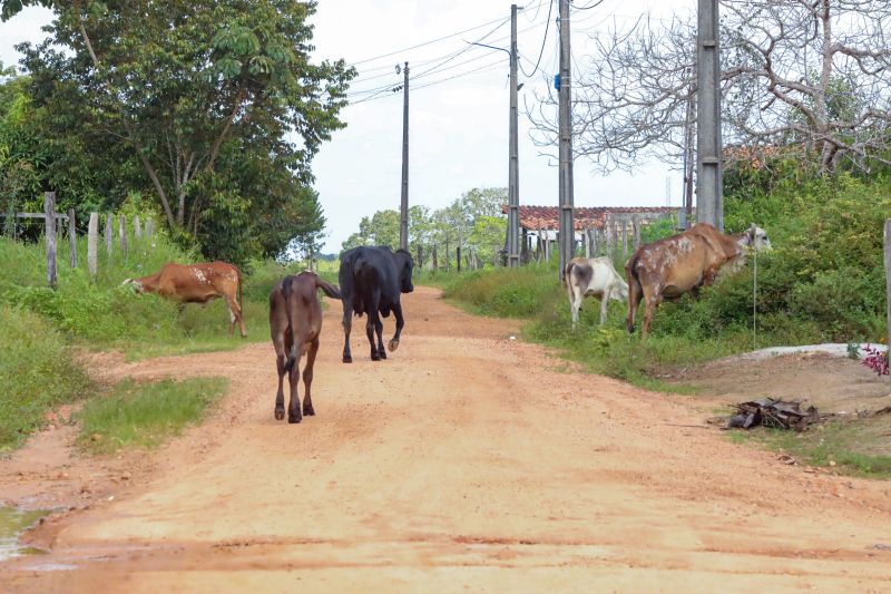 <div class='credito_fotos'>Foto: Bruno Cruz / Agência Pará | <a href='/midias/2024/originais/20329_4bec83ef-167c-3ab9-1dd8-b6fb56c388d3.jpg' download><i class='fa-solid fa-download'></i> Download</a></div>