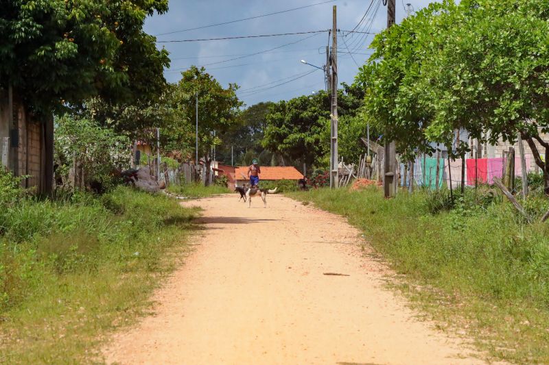 <div class='credito_fotos'>Foto: Bruno Cruz / Agência Pará | <a href='/midias/2024/originais/20329_c99ee7b1-98a3-1bfb-5c21-8bc51ef82ba6.jpg' download><i class='fa-solid fa-download'></i> Download</a></div>