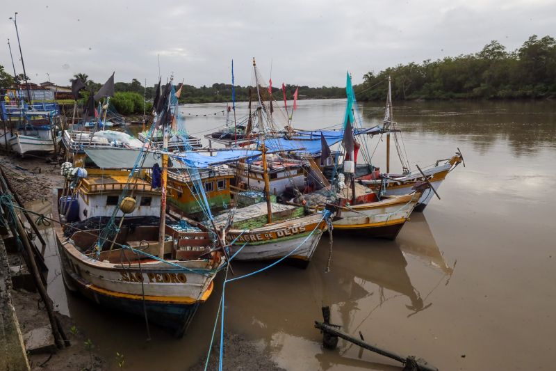 <div class='credito_fotos'>Foto: Alex Ribeiro / Ag. Pará | <a href='/midias/2024/originais/20421_ee5e7aaf-5fb3-cd42-3717-9d4934f05ad5.jpg' download><i class='fa-solid fa-download'></i> Download</a></div>