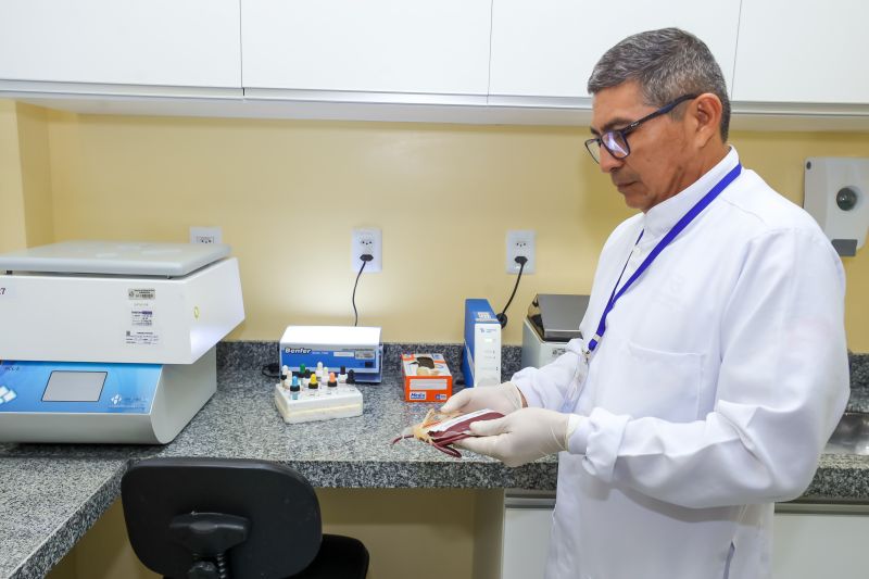 <div class='credito_fotos'>Foto: Alex Ribeiro / Ag. Pará | <a href='/midias/2024/originais/20426_b81d4051-5cd0-70f1-7609-bc744b8b70d3.jpg' download><i class='fa-solid fa-download'></i> Download</a></div>