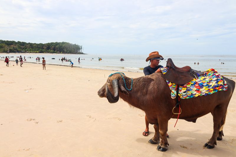  <div class='credito_fotos'>Foto: Bruno Cecim / Ag.Pará   |   <a href='/midias/2024/originais/20450_65b6a7d3-6cbf-616e-0fc1-2e6b8e610510.jpg' download><i class='fa-solid fa-download'></i> Download</a></div>