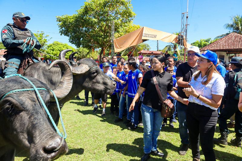  <div class='credito_fotos'>Foto: Bruno Cecim / Ag.Pará   |   <a href='/midias/2024/originais/20452_5a67a60e-3ac3-b529-bf83-6ccd0a1dd1cd.jpg' download><i class='fa-solid fa-download'></i> Download</a></div>