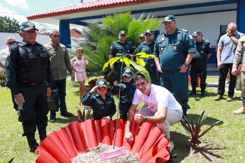 <div class='credito_fotos'>Foto: Bruno Cruz / Agência Pará | <a href='/midias/2024/originais/20578_50bacc58-16f1-5fe9-fd94-95191e585c6f.jpg' download><i class='fa-solid fa-download'></i> Download</a></div>