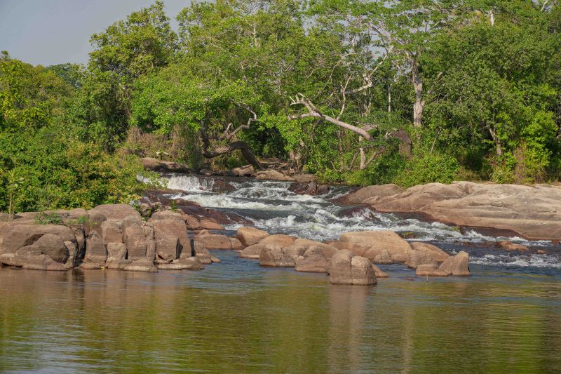 <div class='credito_fotos'>Foto: Roni Moreira / Ag.Pará | <a href='/midias/2024/originais/20603_882f46cb-ec66-39ea-8c6d-27b8397577e7.jpg' download><i class='fa-solid fa-download'></i> Download</a></div>