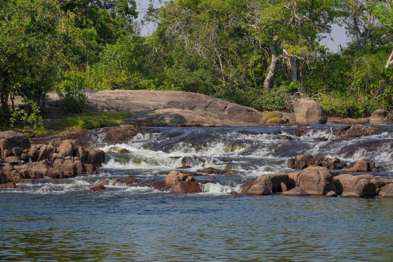 <div class='credito_fotos'>Foto: Roni Moreira / Ag.Pará | <a href='/midias/2024/originais/20603_c7db47da-0b06-1ad3-2e9e-57051784fb48.jpg' download><i class='fa-solid fa-download'></i> Download</a></div>