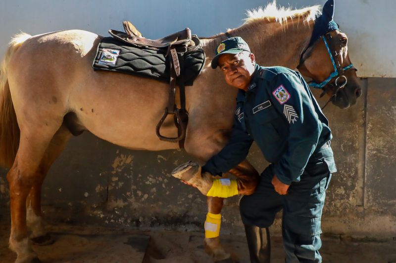 <div class='credito_fotos'>Foto: Bruno Cruz / Agência Pará | <a href='/midias/2024/originais/20608_004ac93e-a82f-00d5-de18-470076eb05cf.jpg' download><i class='fa-solid fa-download'></i> Download</a></div>