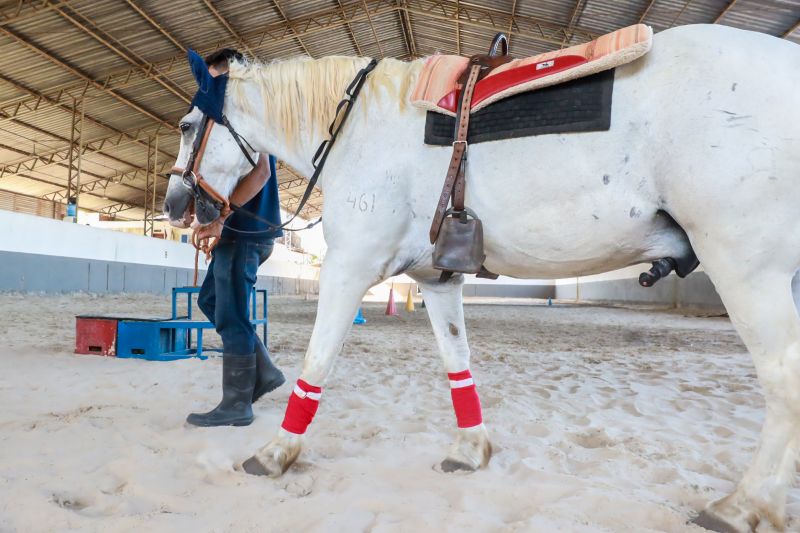 <div class='credito_fotos'>Foto: Bruno Cruz / Agência Pará | <a href='/midias/2024/originais/20608_231d63ae-a254-17fb-7ca1-2dbfd6c0d9a2.jpg' download><i class='fa-solid fa-download'></i> Download</a></div>
