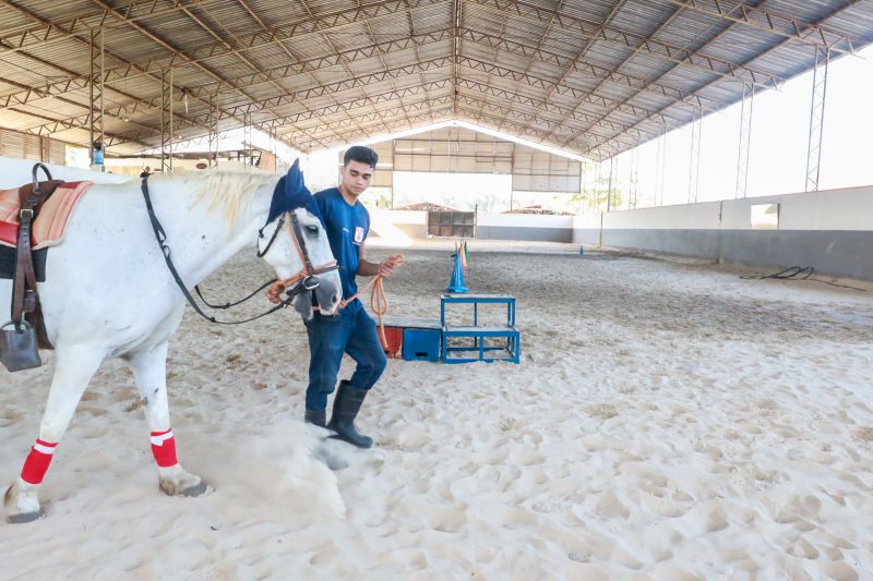 <div class='credito_fotos'>Foto: Bruno Cruz / Agência Pará | <a href='/midias/2024/originais/20608_2857e002-cb20-b850-e8a1-baddbf222663.jpg' download><i class='fa-solid fa-download'></i> Download</a></div>