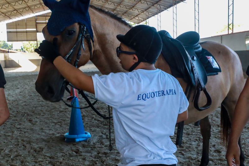 <div class='credito_fotos'>Foto: Bruno Cruz / Agência Pará | <a href='/midias/2024/originais/20608_40678744-19d4-7801-4ae4-90e27123d9ef.jpg' download><i class='fa-solid fa-download'></i> Download</a></div>