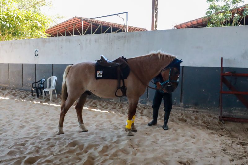 <div class='credito_fotos'>Foto: Bruno Cruz / Agência Pará | <a href='/midias/2024/originais/20608_54fda49f-8b5e-f12b-6309-7adfcaa91224.jpg' download><i class='fa-solid fa-download'></i> Download</a></div>