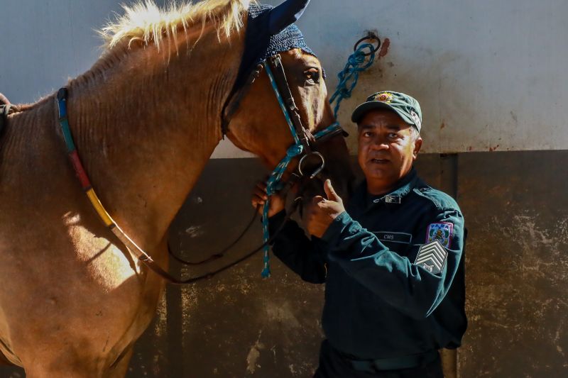 <div class='credito_fotos'>Foto: Bruno Cruz / Agência Pará | <a href='/midias/2024/originais/20608_7431ce00-7975-9998-9e52-16ceefec42ba.jpg' download><i class='fa-solid fa-download'></i> Download</a></div>