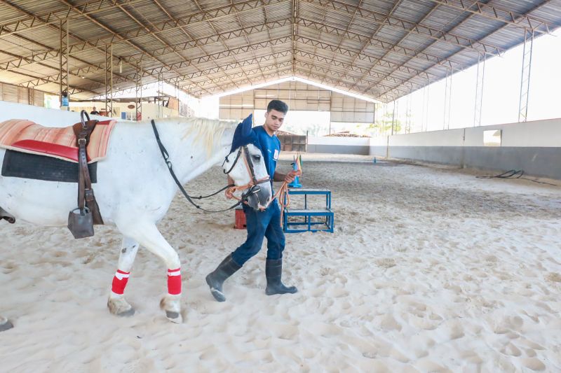 <div class='credito_fotos'>Foto: Bruno Cruz / Agência Pará | <a href='/midias/2024/originais/20608_9989d87a-2879-8af7-e4b0-502a1a4b23f7.jpg' download><i class='fa-solid fa-download'></i> Download</a></div>