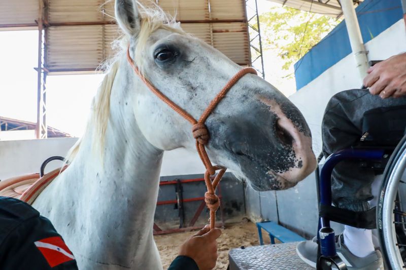 <div class='credito_fotos'>Foto: Bruno Cruz / Agência Pará | <a href='/midias/2024/originais/20608_b0e8b5c3-ce7b-401a-06b7-adf8236feb39.jpg' download><i class='fa-solid fa-download'></i> Download</a></div>