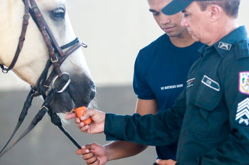 <div class='credito_fotos'>Foto: Bruno Cruz / Agência Pará | <a href='/midias/2024/originais/20608_d2efed13-08a3-a8d8-cbec-cce5b163f70c.jpg' download><i class='fa-solid fa-download'></i> Download</a></div>