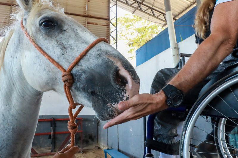 <div class='credito_fotos'>Foto: Bruno Cruz / Agência Pará | <a href='/midias/2024/originais/20608_fa131bf7-8f82-34d2-9c57-6c9e116a739d.jpg' download><i class='fa-solid fa-download'></i> Download</a></div>