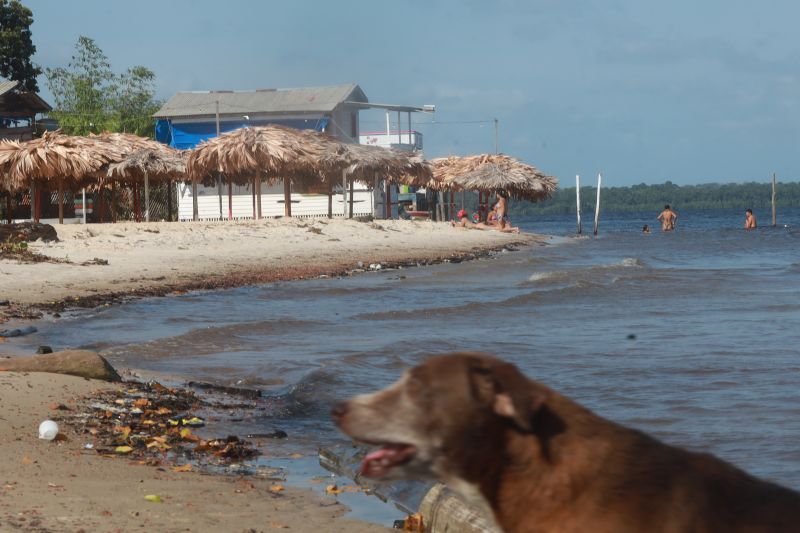 <div class='credito_fotos'>Foto: Bruno Cruz / Agência Pará | <a href='/midias/2024/originais/20618_12c09014-a55a-aaba-b9fc-fead5d5c23ed.jpg' download><i class='fa-solid fa-download'></i> Download</a></div>