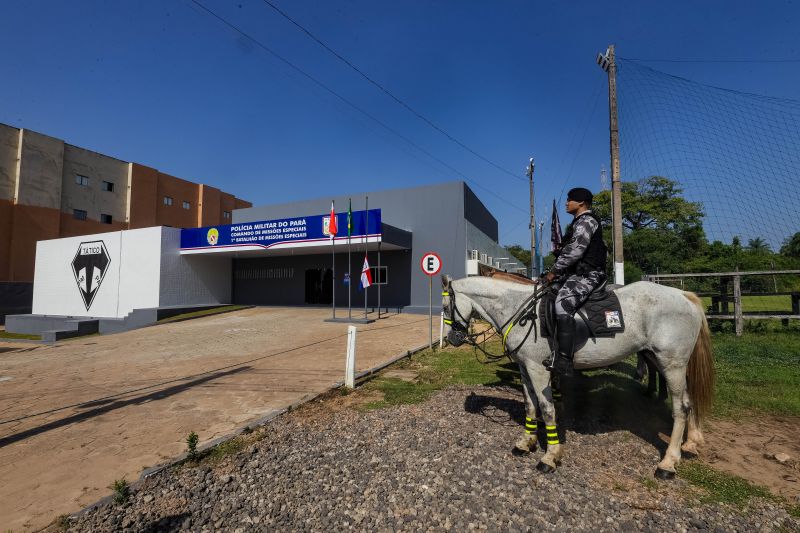 <div class='credito_fotos'>Foto: Alex Ribeiro / Ag. Pará | <a href='/midias/2024/originais/20655_3a014092-7ca5-758b-dc5f-fd47a4463fba.jpg' download><i class='fa-solid fa-download'></i> Download</a></div>