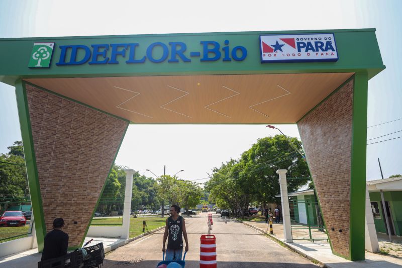 <div class='credito_fotos'>Foto: Marcelo Lelis / Ag. Pará | <a href='/midias/2024/originais/20762_6b22e7d2-a61d-b30d-a2eb-b0aeb55b7fdc.jpg' download><i class='fa-solid fa-download'></i> Download</a></div>