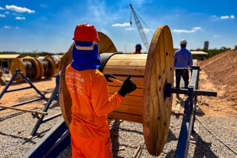 <div class='credito_fotos'>Foto: Divulgação / Agência Pará | <a href='/midias/2024/originais/20769_ba7d063a-41e9-49e4-bdd1-d84d2a5bc1e4.jpg' download><i class='fa-solid fa-download'></i> Download</a></div>