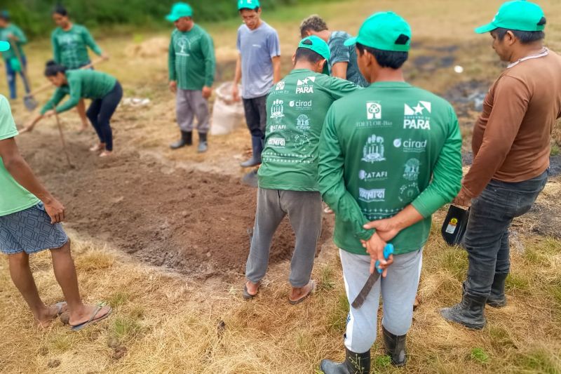Matéria - Formação de agentes agroflorestais avança na Terra Indígena Alto Rio Guamá com foco em sustentabilidade
Fotos: DGBio/IDEFLOR-Bio/Divulgação
<div class='credito_fotos'>Foto: ASCOM / IDEFLOR-BIO | <a href='/midias/2024/originais/20801_1a54380a-7909-6776-a521-6e1d1e8166a0.jpg' download><i class='fa-solid fa-download'></i> Download</a></div>