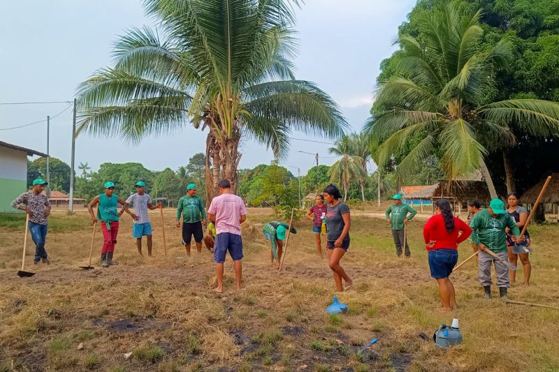 Matéria - Formação de agentes agroflorestais avança na Terra Indígena Alto Rio Guamá com foco em sustentabilidade
Fotos: DGBio/IDEFLOR-Bio/Divulgação
<div class='credito_fotos'>Foto: ASCOM / IDEFLOR-BIO | <a href='/midias/2024/originais/20801_1cee478a-1930-b606-13bb-32a530470c45.jpg' download><i class='fa-solid fa-download'></i> Download</a></div>