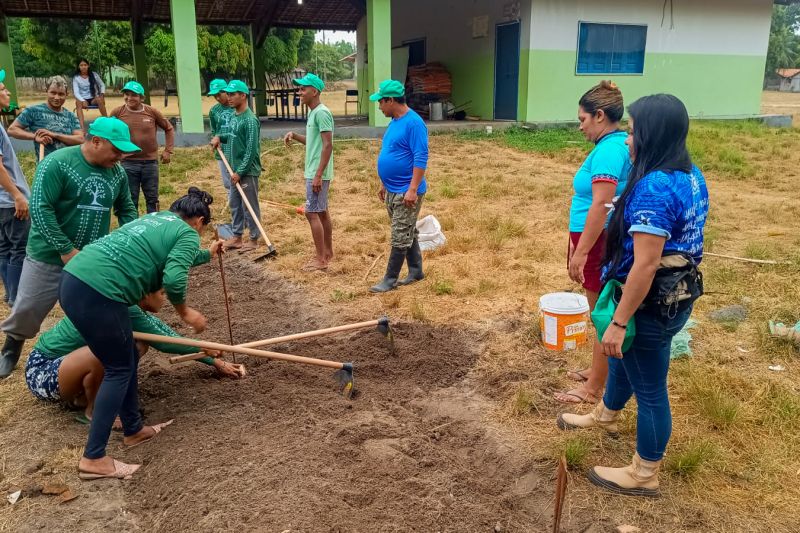 Matéria - Formação de agentes agroflorestais avança na Terra Indígena Alto Rio Guamá com foco em sustentabilidade
Fotos: DGBio/IDEFLOR-Bio/Divulgação
<div class='credito_fotos'>Foto: ASCOM / IDEFLOR-BIO | <a href='/midias/2024/originais/20801_2da70080-fb71-620a-a715-3c4743b2765d.jpg' download><i class='fa-solid fa-download'></i> Download</a></div>