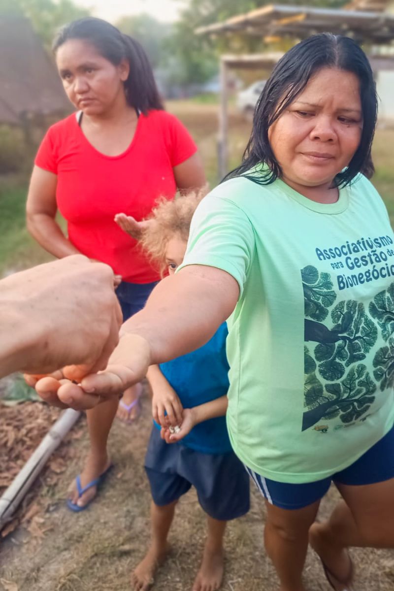 Matéria - Formação de agentes agroflorestais avança na Terra Indígena Alto Rio Guamá com foco em sustentabilidade
Fotos: DGBio/IDEFLOR-Bio/Divulgação
<div class='credito_fotos'>Foto: ASCOM / IDEFLOR-BIO | <a href='/midias/2024/originais/20801_2f92cf65-ae8e-b092-832b-f71284c3df5c.jpg' download><i class='fa-solid fa-download'></i> Download</a></div>