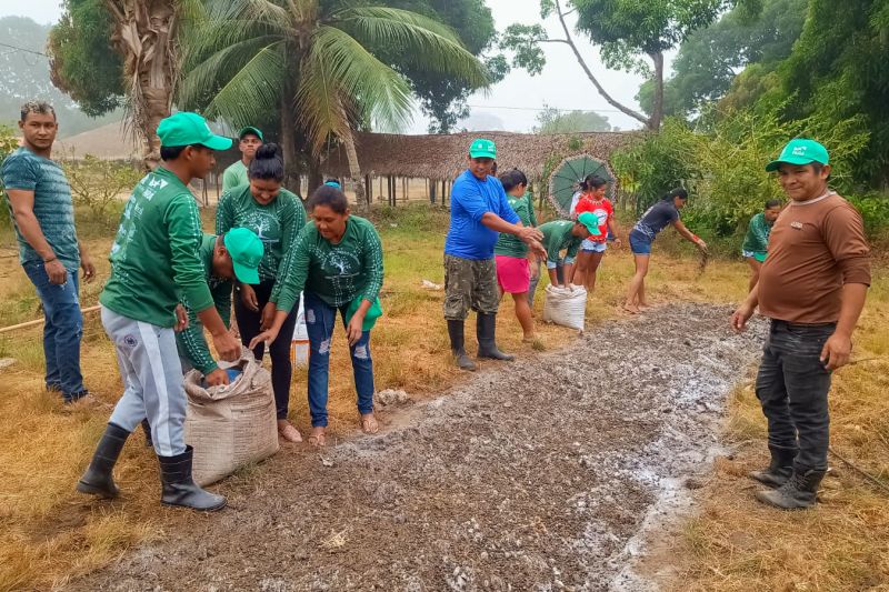 Matéria - Formação de agentes agroflorestais avança na Terra Indígena Alto Rio Guamá com foco em sustentabilidade
Fotos: DGBio/IDEFLOR-Bio/Divulgação
<div class='credito_fotos'>Foto: ASCOM / IDEFLOR-BIO | <a href='/midias/2024/originais/20801_31fe6f03-95cc-11c3-d378-94f525ebb95a.jpg' download><i class='fa-solid fa-download'></i> Download</a></div>