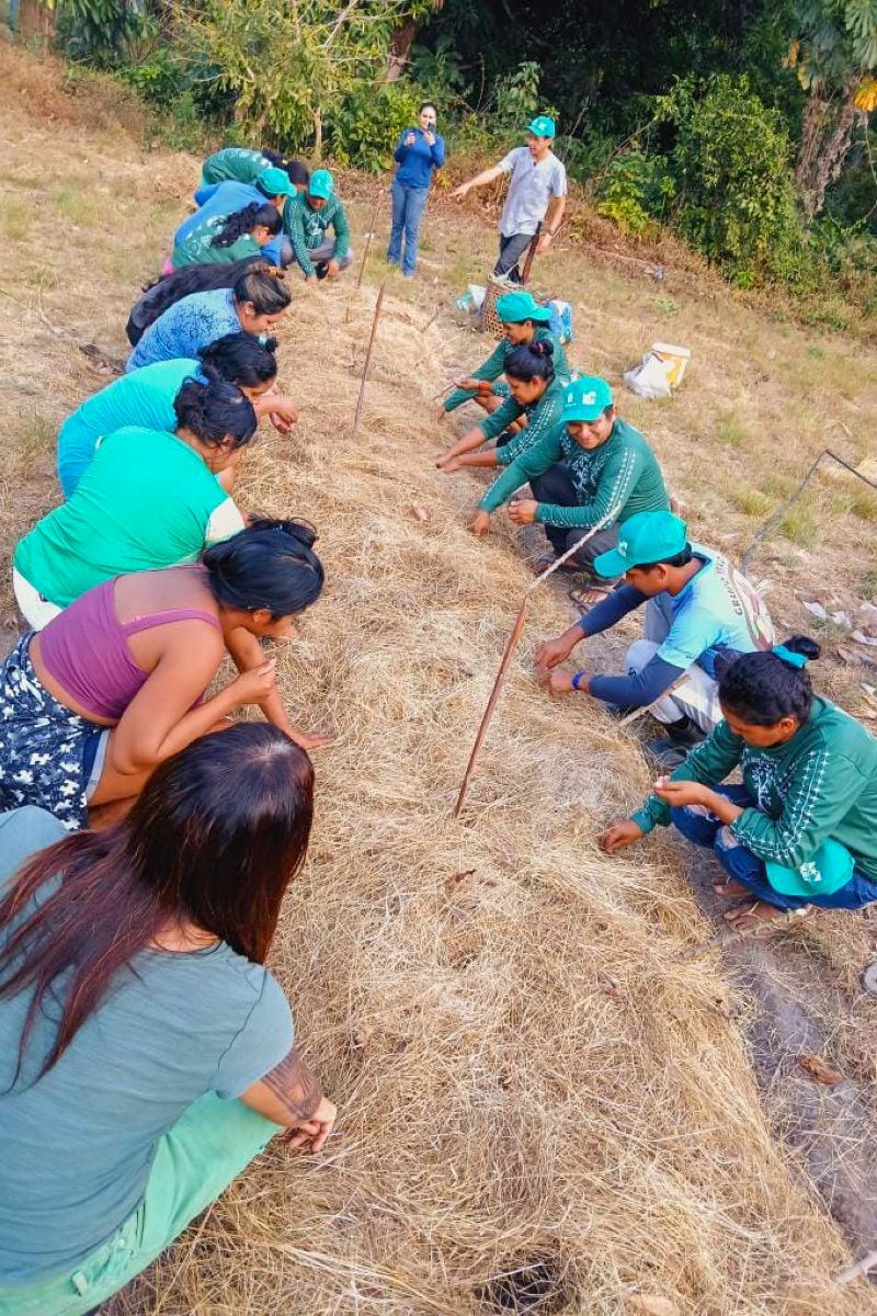 Matéria - Formação de agentes agroflorestais avança na Terra Indígena Alto Rio Guamá com foco em sustentabilidade
Fotos: DGBio/IDEFLOR-Bio/Divulgação
<div class='credito_fotos'>Foto: ASCOM / IDEFLOR-BIO | <a href='/midias/2024/originais/20801_49d13006-7fe1-d911-df52-9dc3a7f9afdd.jpg' download><i class='fa-solid fa-download'></i> Download</a></div>