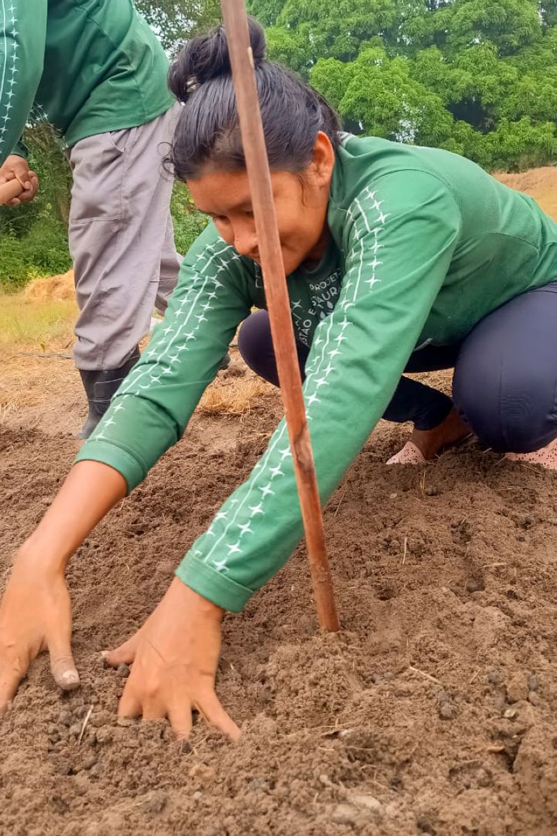 Matéria - Formação de agentes agroflorestais avança na Terra Indígena Alto Rio Guamá com foco em sustentabilidade
Fotos: DGBio/IDEFLOR-Bio/Divulgação
<div class='credito_fotos'>Foto: ASCOM / IDEFLOR-BIO | <a href='/midias/2024/originais/20801_4cdd4d1d-3f47-7c7a-4944-7257a13c2aed.jpg' download><i class='fa-solid fa-download'></i> Download</a></div>